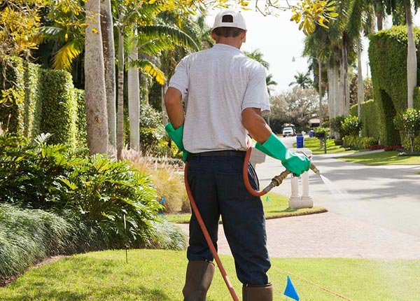 About Avoca TX Pest Control